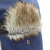 田祺（TIANQI）晴舫系列 秋冬户外加厚可调节头围护耳雷锋帽 B15005 深蓝（棕毛)  可调节