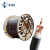 珠江冠缆国标硬芯阻燃YJV 4X4平方三相四线电力电缆线 一米价