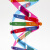钢骑士 人体基因DNA双螺旋模型 科技小制作手工diy生物科学实验科普教具 人体基因DNA模型（50套起拍） 