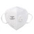 霍尼韦尔（Honeywell）口罩 KN95级防粉尘折叠式防雾霾防护口罩 H950V耳戴式带呼吸阀 25只/盒 （独立包装）