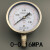 上海天湖Y-100BF不锈钢压力表真空表气压水压0-0.6 1 1.6 2.5MPA 0016MPA