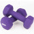阿尤布磨砂浸塑家用女士运动健身瘦臂塑身郑多燕跳操男士训练 紫色3kg*2只