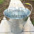 苏墨无磁不锈钢加厚提水桶 家用铁水桶 铁皮桶储水铁桶防锈提水桶 迷你小铁桶 8L（较小）