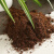 罗汉松专用土罗汉松专用土5斤装 罗汉松营养土疏松透气弱酸性椰糠 罗汉松专用土5斤(约6.5L)