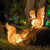 定制太阳能防水发光松鼠灯庭院亮化草坪公园动物造型灯园林装饰景 趴松鼠接电