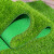 谐晟 仿真草坪地毯人造草皮装饰户外围挡绿植足球场草坪 1.5厘米军绿普通密度19针 1平