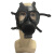 护力盾 FNJ05A防毒面具全面罩头戴式自吸式面具 单面具