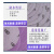 京斯坦 植绒砂纸 3英寸75mm紫色圆盘砂纸 汽车漆面水磨砂纸  600#（500个） 
