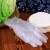 百舸 一次性手套 耐用PVC家务餐饮用厨房清洁加厚1盒 S码