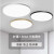 智能吸顶灯 客厅卧室灯LED三防大气房间圆形阳台厨房 48CM白色三防灯-48瓦白光