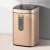 智能感应垃圾桶带盖客厅厨房卧室卫生间GC231 方形感应桶-香槟金6L