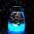 MOJY幸福海藻球微景观生态瓶创意迷你植物桌面玻璃瓶天然水培球藻盆栽 150ml宝石蓝(带灯) 包括1颗1岁球球