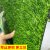 仿真草坪地毯幼儿园假草坪绿植人造人工塑料绿色草皮户外阳台装饰 2.0CM春草加厚特密 2米*9米 【10年】
