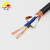 丰旭 电线电缆 RVVP2芯0.5平方控制电缆 2芯信号线 两芯屏蔽线 RVVP2*0.5 100米