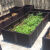 裕展阳台种植箱长方形塑料花盆家庭屋顶菜园设备特大园艺种菜盆种 特深2联:长80宽40高52