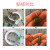 ergo瑞士进口.5910粘珠宝胶水专用镶嵌玉器修复透明无痕戒指饰品珍珠 5910-20g带针头