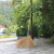竹扫把农村老式竹丝扫帚笤帚户外庭院环卫通用大扫把扫院子 金丝草植物扫帚 长15米宽60厘米