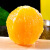 晟容果蔬夏橙广西酸甜多汁当季现摘水果橙子（现货速发）酸甜榨汁孕妇水果 带箱5斤净重4.5斤 中果【果径55-65mm】