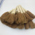 卫洋WYS-1656 木柄软棕丝刷 长柄植物锅刷厨房清洁刷刷把