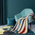 路易卡罗（Louis Kellog） 路易卡罗毛毯盖毯轻便保暖办公家用绒毯午睡空调毯套装 七彩条纹75*100cm 标准尺寸