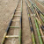 定制适合竹梯子2米到3米4米5米6米7米绝缘工程电力直梯梯子幼儿园竹梯 3.5米竹梯(发快运)