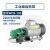 WCB小型不锈钢自吸齿轮油泵220V液压油机油泵柴油泵食用油抽油泵 WCB-100-1500W口径25mm(1寸)