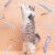 尾巴生活（FURRYTAIL） 猫一条猫条 12g*6金枪鱼 猫咪肉泥条成猫幼猫湿粮营养宠物零食膏