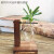 法漫玫创意烧杯水培木架容器绿萝植物玻璃花瓶办公室桌面摆件插花瓶装饰 复古单边+植物