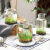 睿格达微景观生态瓶家居微景观海藻水培盆栽桌面玻璃生态瓶透明创意玻璃 喇叭口(大号)+水草籽+石子