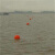 迈恻亦高强度塑料浮球ABS双耳加筋圆型航道设施警示水上划赛道渔网浮标 直径14cm光面双耳球橙色(橙、白)
