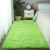地毯卧室床边满铺少女可爱公主房间网红ins拍照客厅茶几毛毯地垫 果绿色长毛 定制