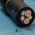 适用于上上国标软电缆YZ2×2.5橡胶橡皮电缆2-5芯1-6平方工程耐磨 YZ2*2.5 100米