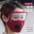厨房防油烟面罩棉透明女士全脸部防护炒菜防油溅做饭遮眼防尘护脸 PM2.5过滤片 (10片装) 其他