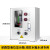 双铂（单路控制箱+仪表）液位水位控制器消防水箱水池报警显示器水位计液位计传感器变送器 P81