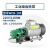 WCB小型不锈钢自吸齿轮油泵220V液压油机油泵柴油泵食用油抽油泵 WCB-100-1100W口径32(1.2寸管)