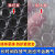 加厚气泡膜卷装快递打包气泡垫泡沫垫泡泡纸垫卷装包装膜防震膜 单层中厚宽30cm长40米1.6斤