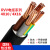 尚可 电线电缆铜芯RVV-3x25+1x16-10米国标护套线软线国标软芯
