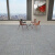 办公室地毯拼接方块卧室满铺水泥地直接铺商 KT5101 50*50cm 8平价格 共32