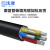沈津 ZR-VLV-0.6/1KV-3*16+2*10mm² 国标铝芯阻燃电力电缆 1米