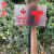 地下消火栓标识牌室外消防栓喷淋水泵接合器标志不锈钢立杆 室外消火栓红底 30*40