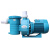 珍乐泳池过滤器循环水泵带毛发聚集器水疗按摩鱼池水泵吸污机水泵 HLB200220V（50）