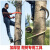 国标加厚型电工脚扣爬木杆电线杆电信杆脚钩登杆工具爬树 500型木杆+红单钩安全带