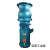 定制适用农用浇地抗旱排涝水泵喷灌泵QSH系列混流式潜水泵潜水轴