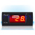 Ewelly伊尼威利温度表测量温度显示器温度计EWT204A 温度器一条温度传感线