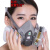 京仕蓝防毒面具口罩喷漆防粉尘油漆专用呼吸防护化工气体工业全面 6200配6001+50片棉