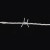 赫思迪格 HGJ-299 防盗防爬带刺钢丝网围墙 钢丝刺绳刺丝网防护栏网 1.8mm×200m钢丝 刺距8cm