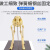 科睿才骨科器械 猫狗骨骼标本模型 猫犬骨架骨头模型 教学骨架骨骼模型 小狗骨 Y1009836 