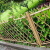 德威狮 不锈钢仿竹护栏  户外公园篱笆栅栏草坪园林绿化带防腐围栏公园景区竹节栏杆 绿色高80cm 单位：组