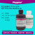 ECL超敏化学发光试剂盒 ECL发光液显色剂 100mL [PH0353 PHYGENE] 2×250mL[500mL]