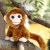 吉熏可爱仿真猴子公仔毛绒玩具金丝猴大眼猴玩偶摆件布娃娃儿童礼物女 灰色猴子 20cm